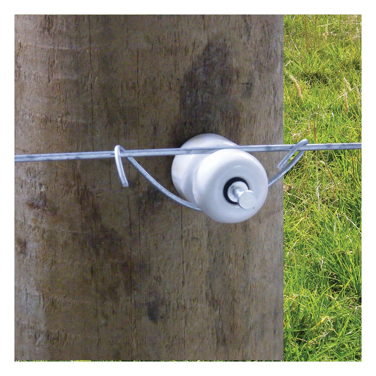 Patriot Wood Post Porcelain Insulator (With Nail) (25 Per Box) - Fencing Patriot - Canada