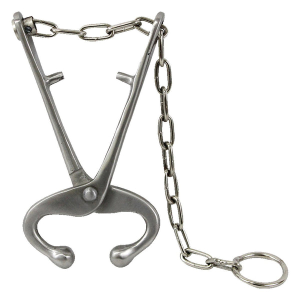 Ape Bull Lead With Chain - Veterinary Instrumentation Ape - Canada