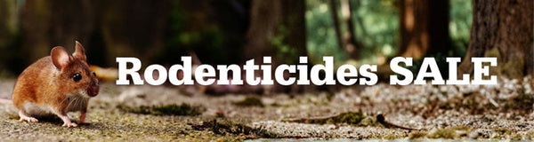 Rodenticide Sale 2026
