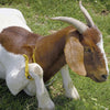 GAMBREL sheep restrainer yellow large 26cm x 16½cm