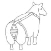 Prolapse harness for sheep