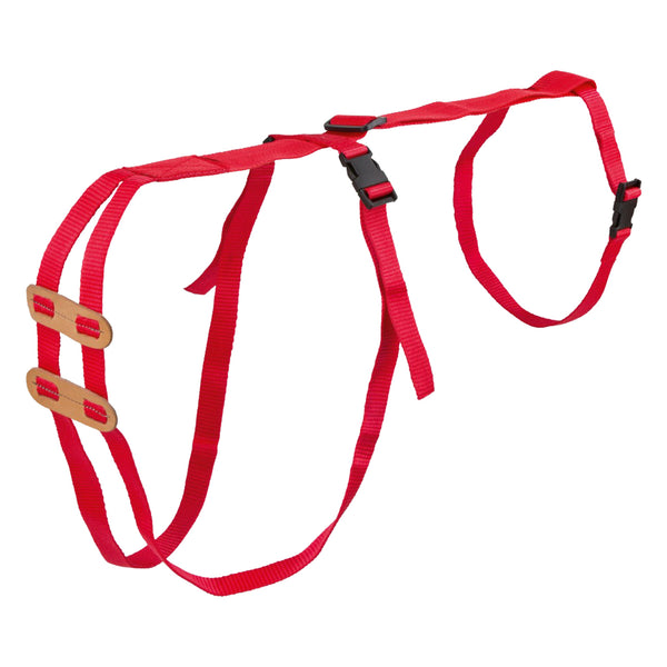 Prolapse harness for sheep