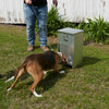 Pet Lodge chow hound pet feeder