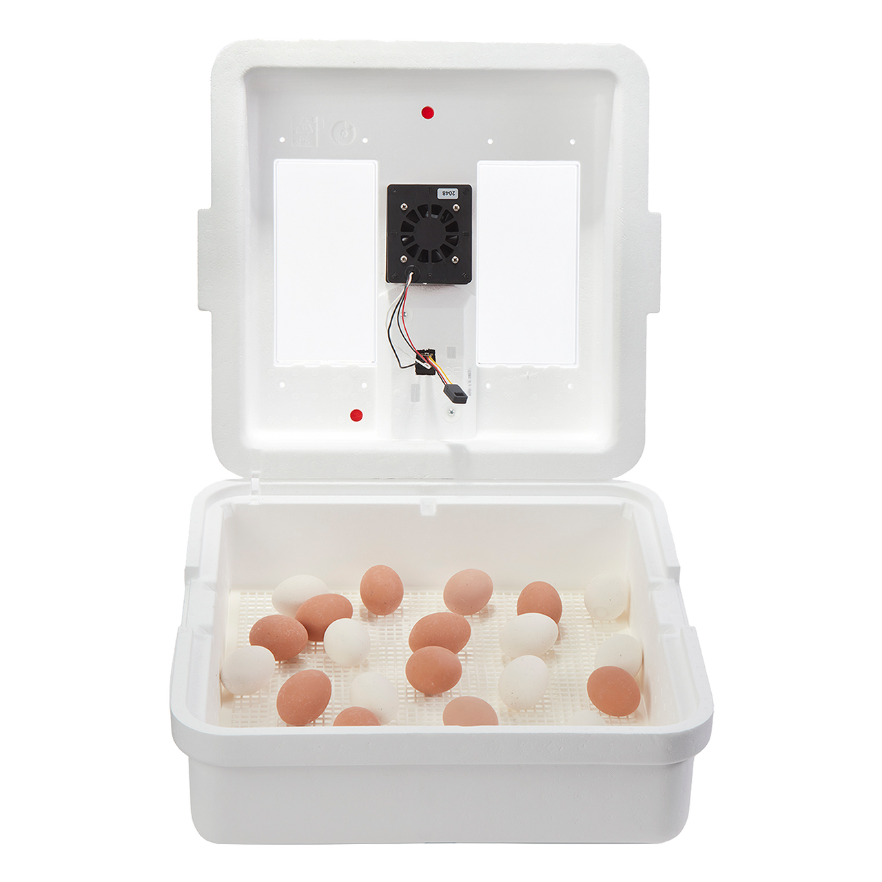 Little Giant CSA listed incubator (12500)