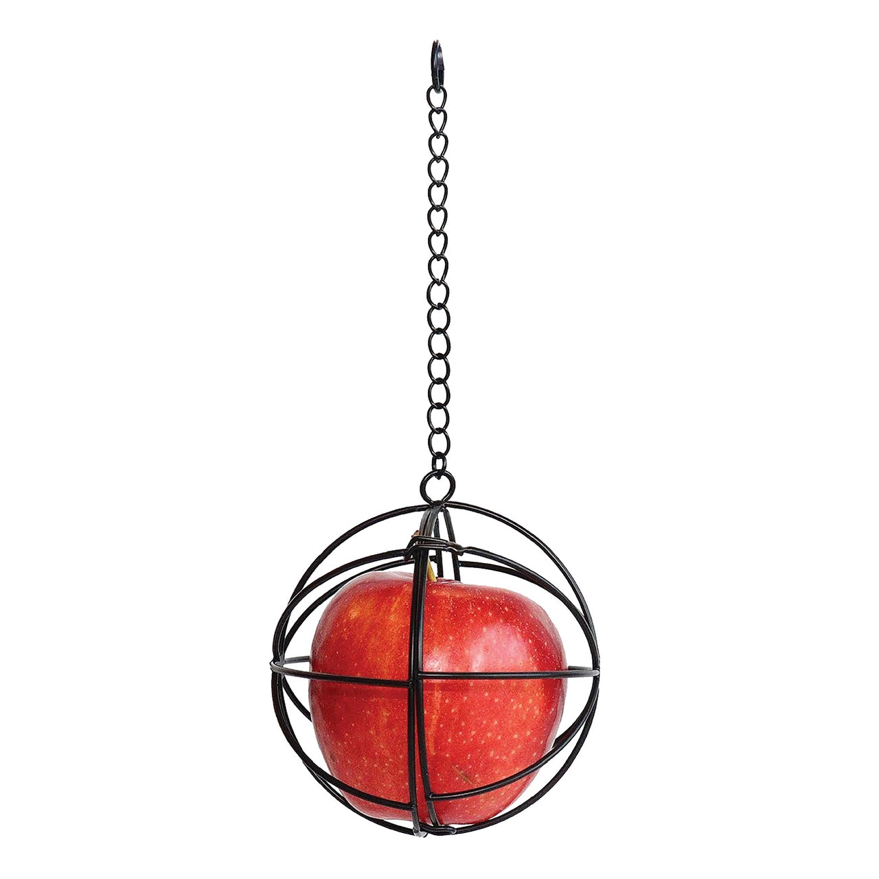 Little Giant Chicken Treat Ball 4 Inch