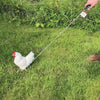 Little Giant chicken catcher hook (CATCHER)