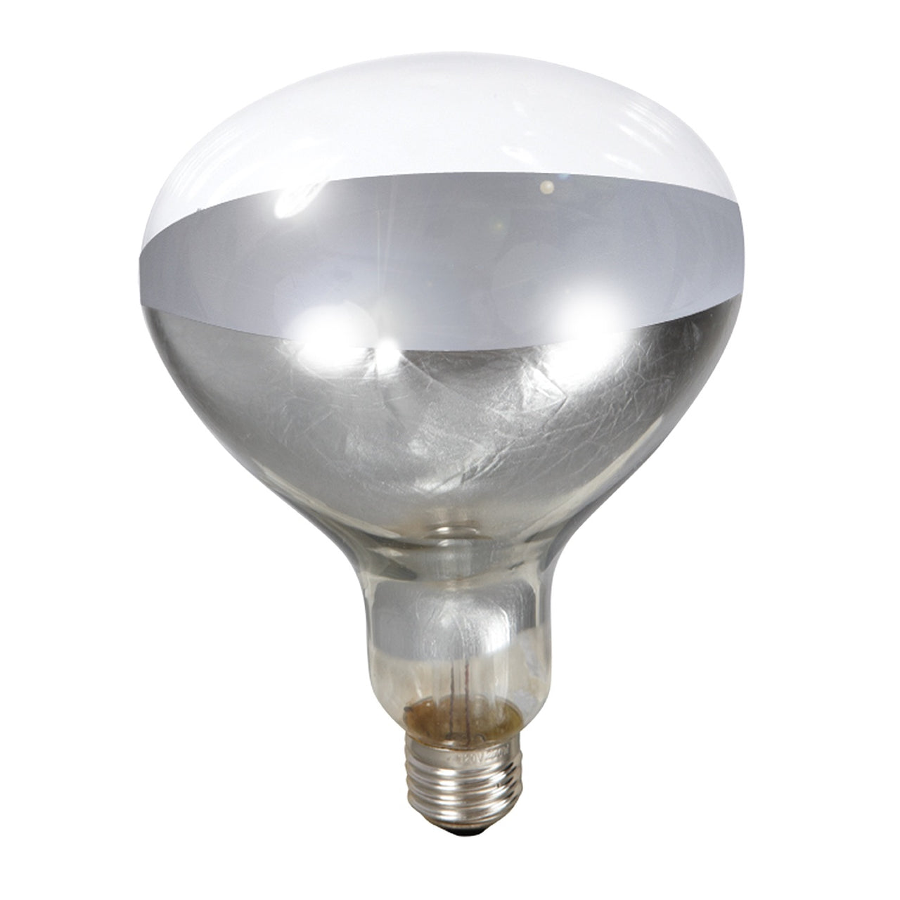 Little Giant 250 Watt Clear Heat Lamp Bulb