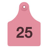 Allflex Maxi Complete Numbered Tags (Pink)