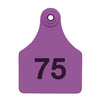 Allflex Large Complete Numbered Tags (Purple) 25 pack