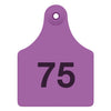 Allflex Maxi Complete Numbered Tags (Purple)
