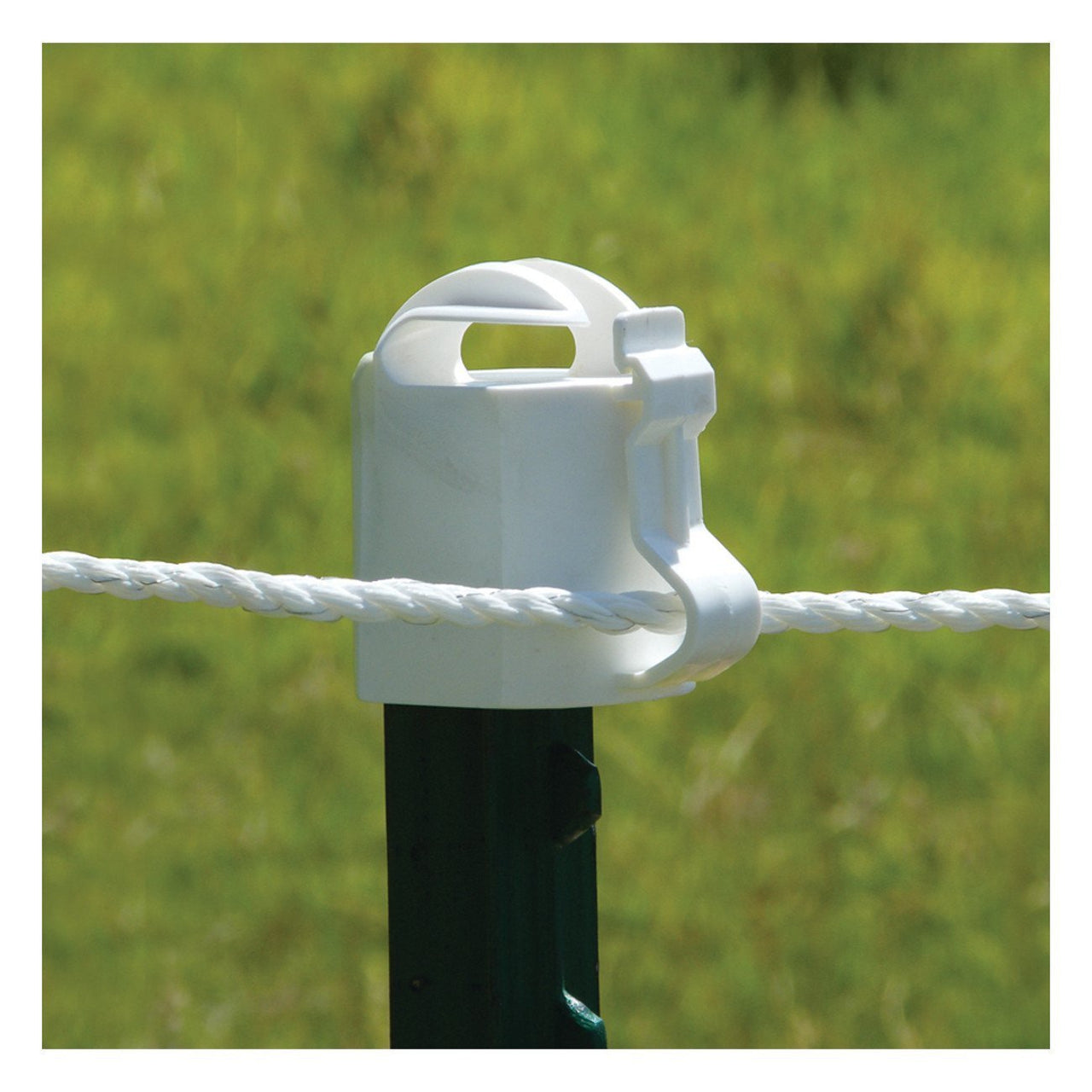 Patriot White T-Post Topper (10 Pack) - Fencing Patriot - Canada