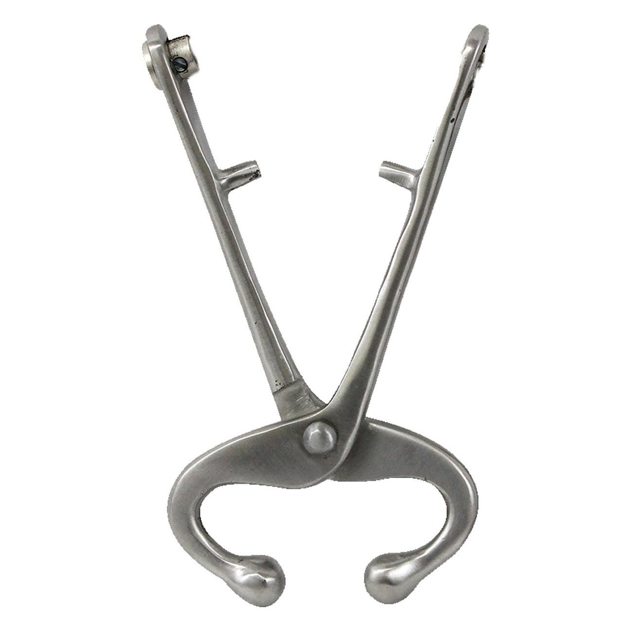 Ape Bull Lead Without Chain - Veterinary Instrumentation Ape - Canada