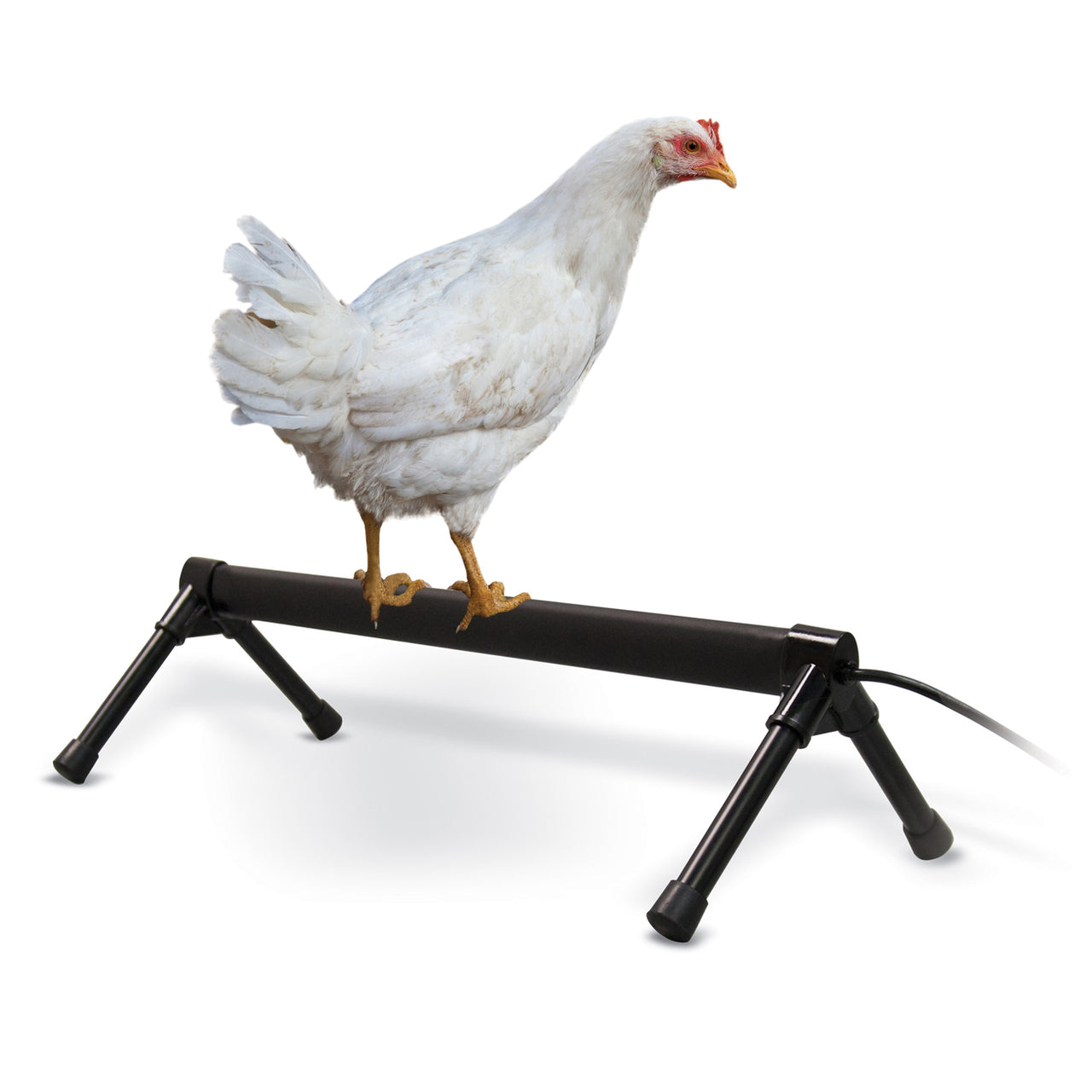 K&h Pet Products Thermo-Chicken Perch Gray 26 - Chicken Perch K&h Pet Products - Canada