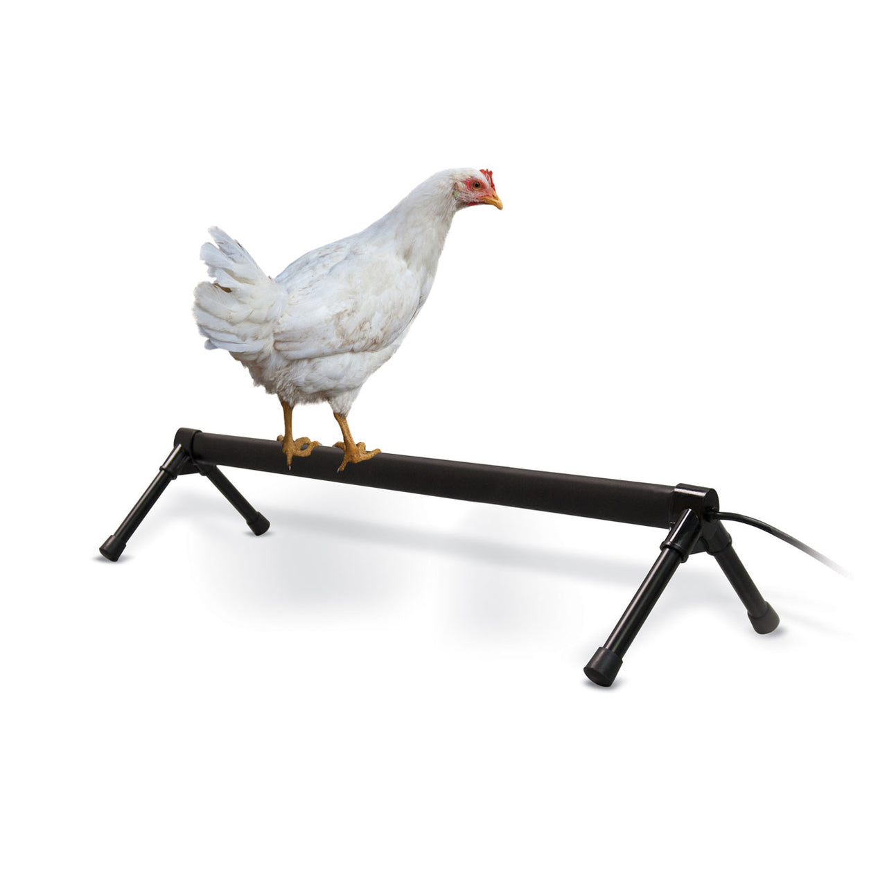 K&h Pet Products Thermo-Chicken Perch Gray 36 - Chicken Perch K&h Pet Products - Canada
