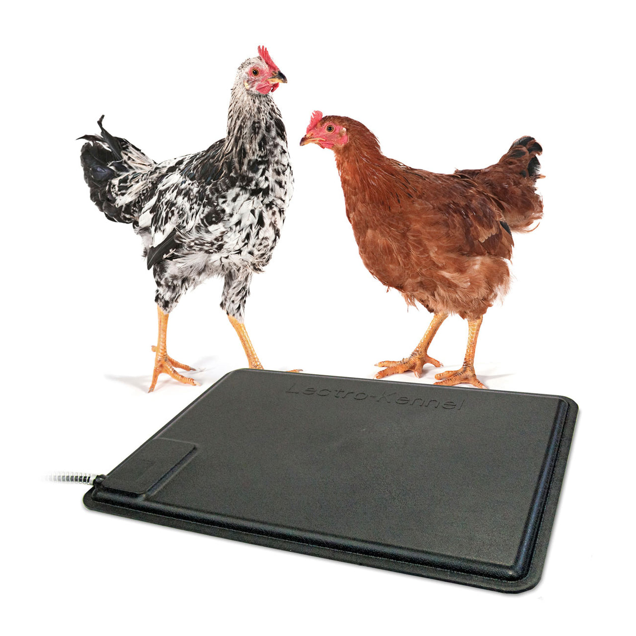 K&h Pet Products Thermo-Chicken Heated Pad - K&h Pet Products - Canada