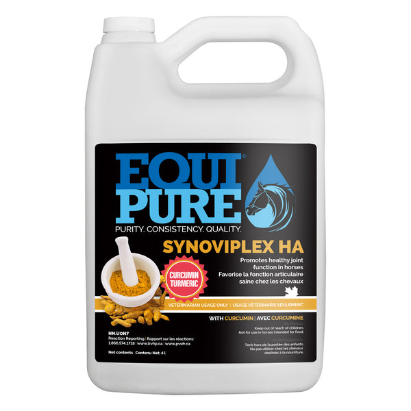 Equipure Synoviplex Ha 4L With Curcumin (Turmeric) - Equine Supplements Equipure - Canada