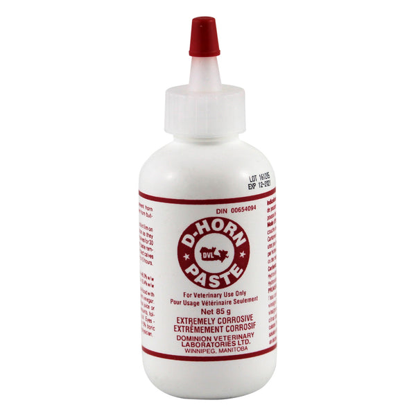 Dvl D-Horn Paste (Squeeze Bottle) 85G - Pharmaceuticals Dvl - Canada